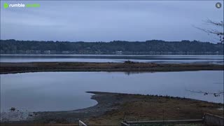 Very nice November day