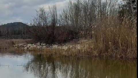 😊 241 EL UNIVERSO NO ESCUCHA TUS PALABRAS… 😊