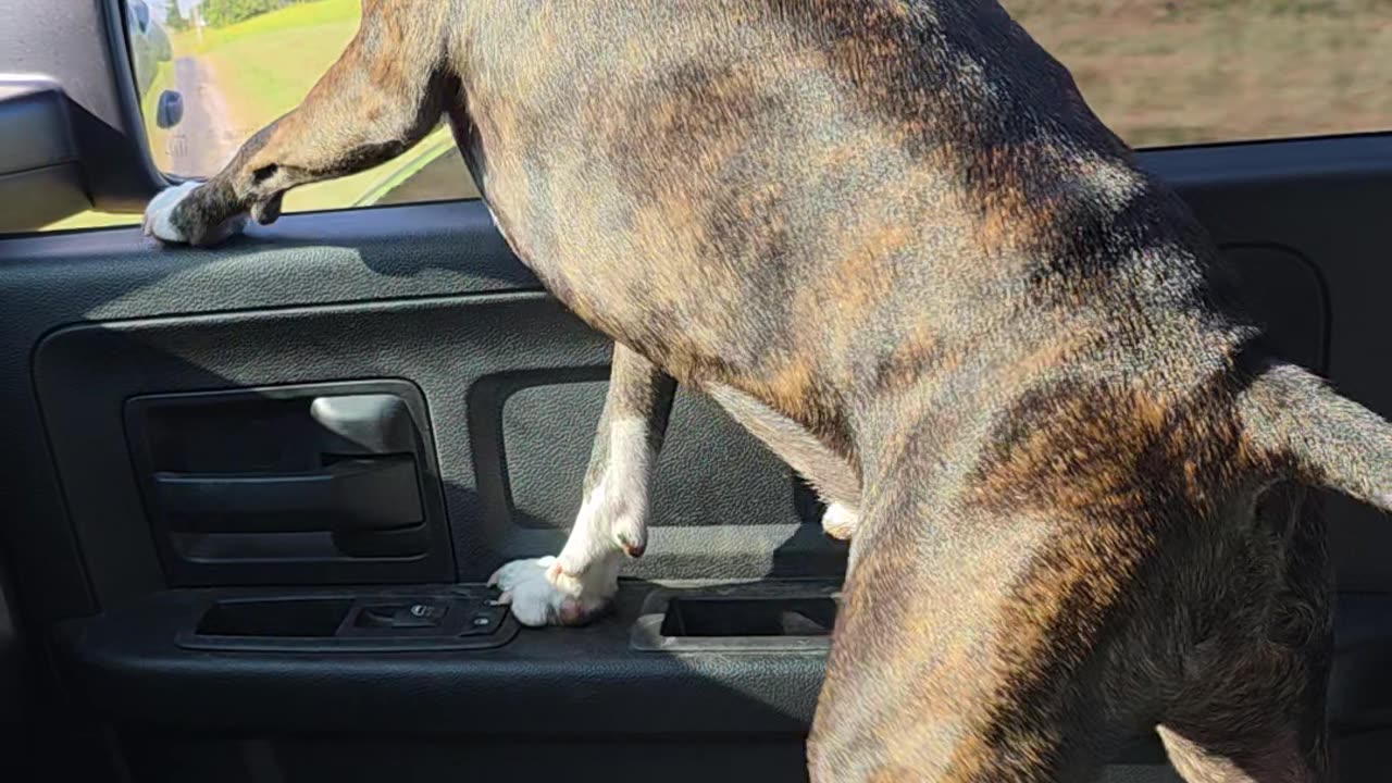 George can roll down the window