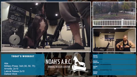 Gym Session w/Remy Rem [Week 43] - Boulder Shoulders // Animal Rescue Stream :)