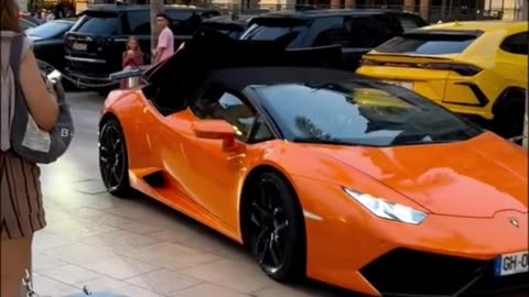 5 Animals That Cost More Than a Lamborghini