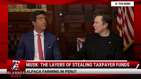 Musk: The Layers Of Stealing Taxpayer Funds
