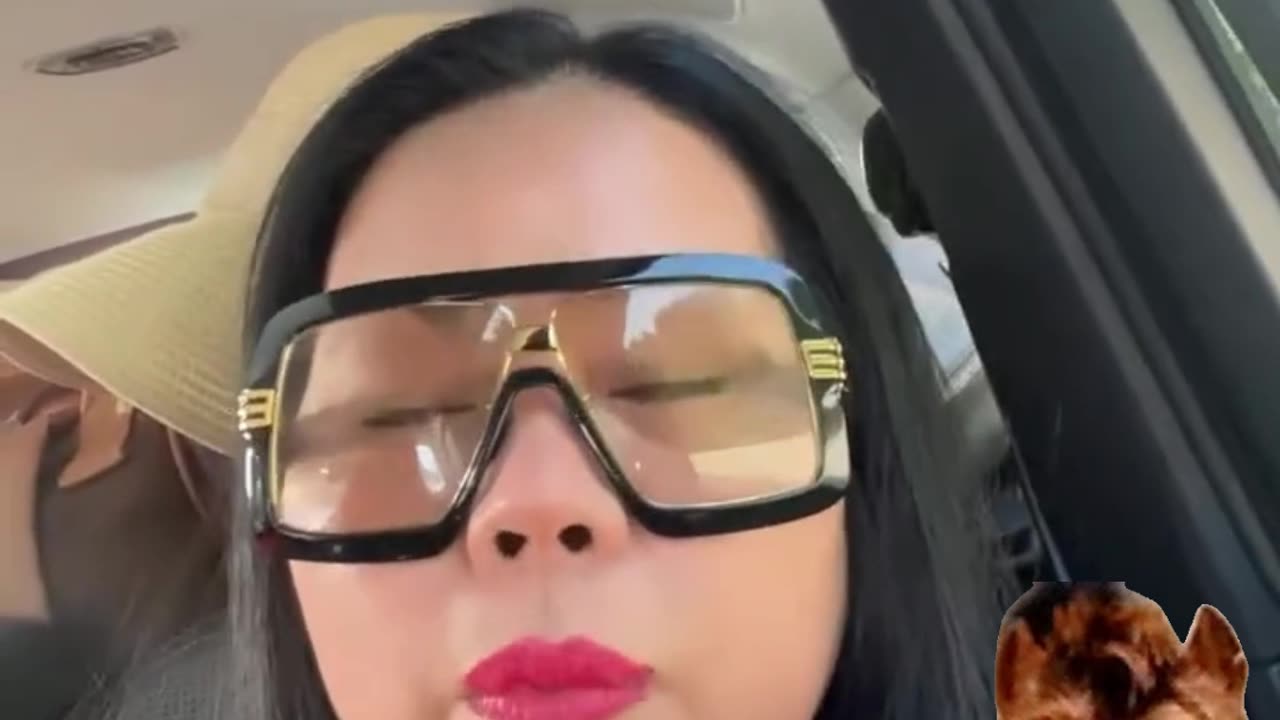 CHEAP MUNK DI NYO PAG AARI ANG NETHERLANDS