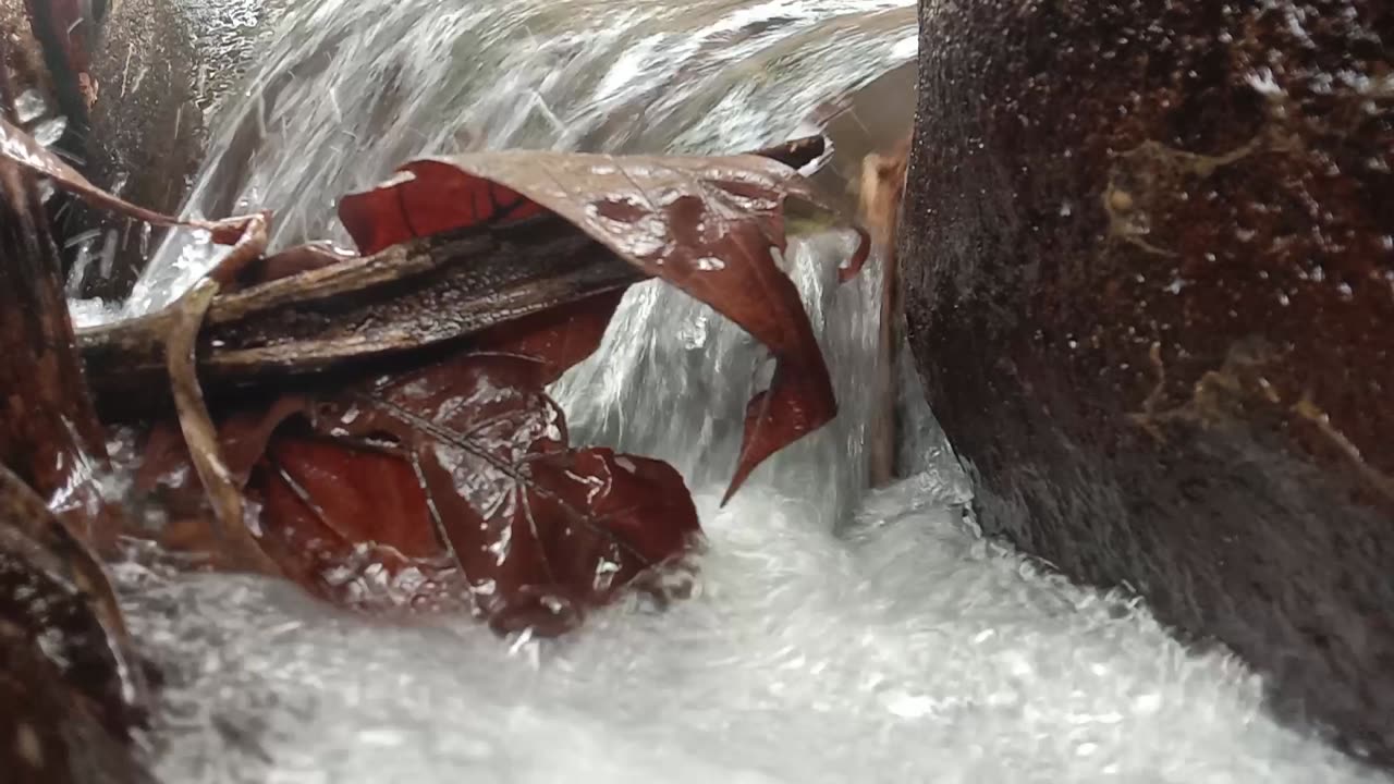Gentle Flowing River Sounds