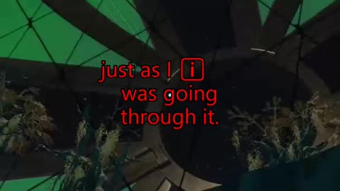 First Time Gaming Experience: Expect the Unexpected! #Shorts