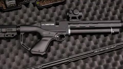 The 5 Best Budget PCP Air Rifle