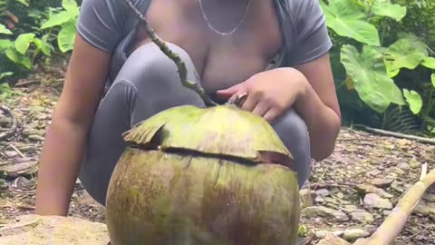 Survival skills, cooking rice with coconut water, have you tried it when camping