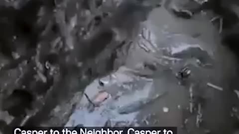 Terrifying trench footage from Ukraine shows brave fights protectin their position with gunfire