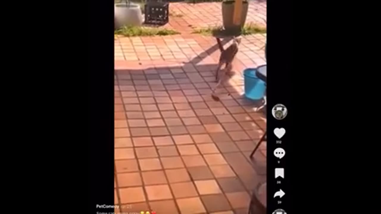 Need a laugh here and there ..