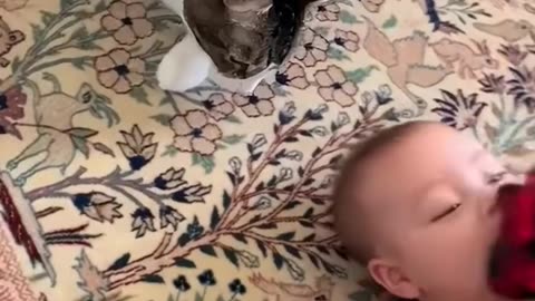 "From Cool Cat to Baby Mode 😂"