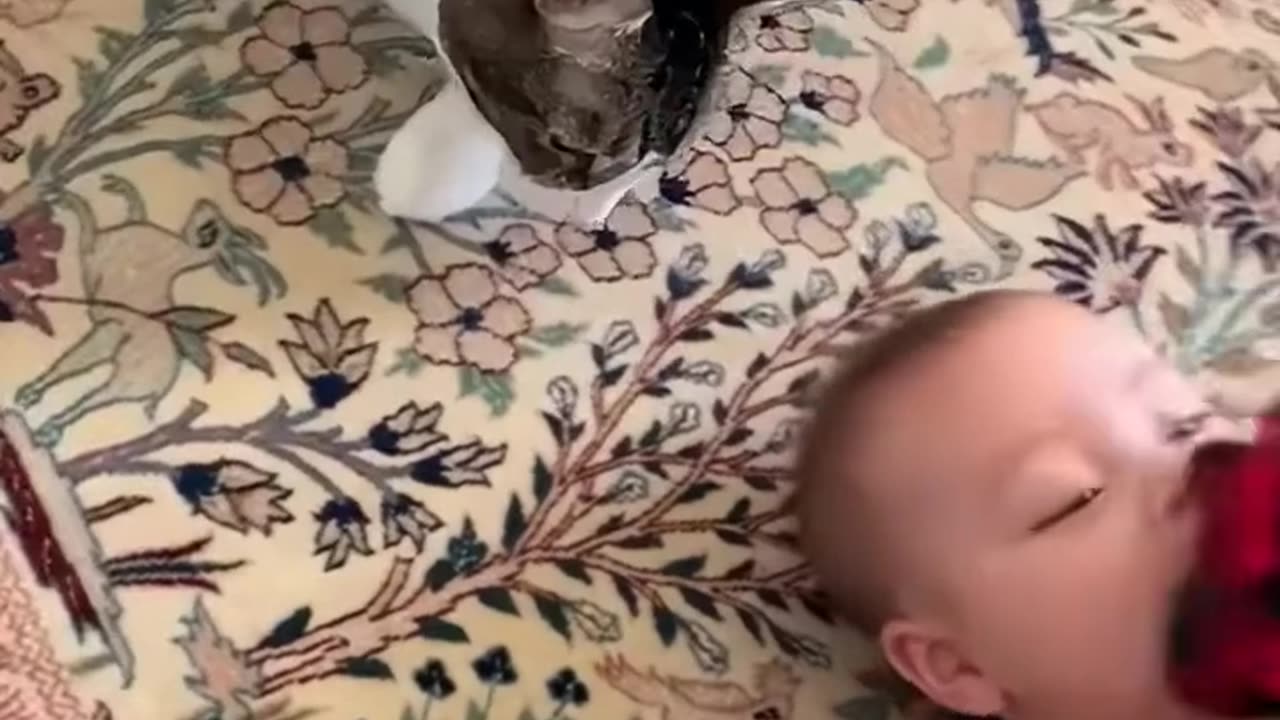 "From Cool Cat to Baby Mode 😂"