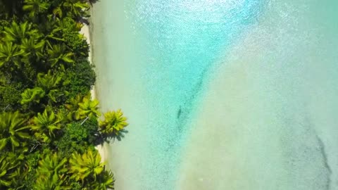 Harmony for Focused Work Sessions