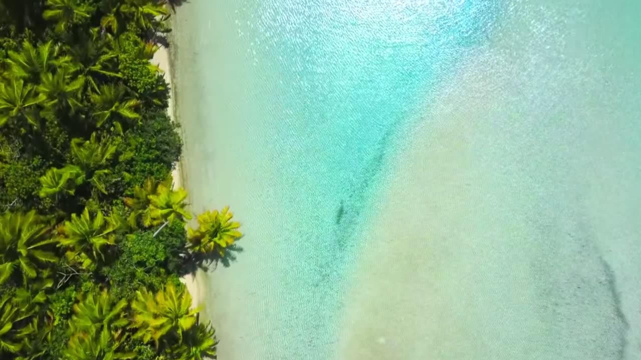 Harmony for Focused Work Sessions