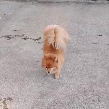 I didn’t want to show it, but where can you show such an artist?