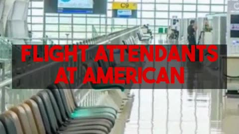 Investor Watch Flight Attendant Salaries Shaping Airline Share Prices