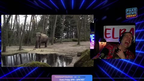 Reacting to Belching at Animals Compilation - Fake News Friday