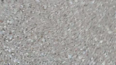 😱🌪️ The Scariest Noises You'll Ever Hear Outside! | TheHauntingHour