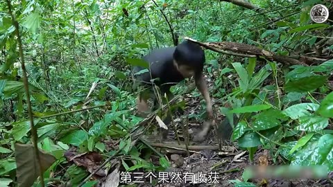 Survival Camp Building with Powerful Beat