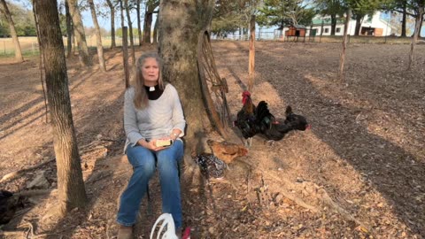 Morning Prayer,Daily Office