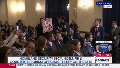 Leftist Protester Clad As Catholic Cardinal Tossed From Noem Hearing