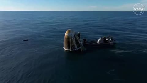 Dolphins greet returned astronauts around the ShuttleX in the Gulf of America