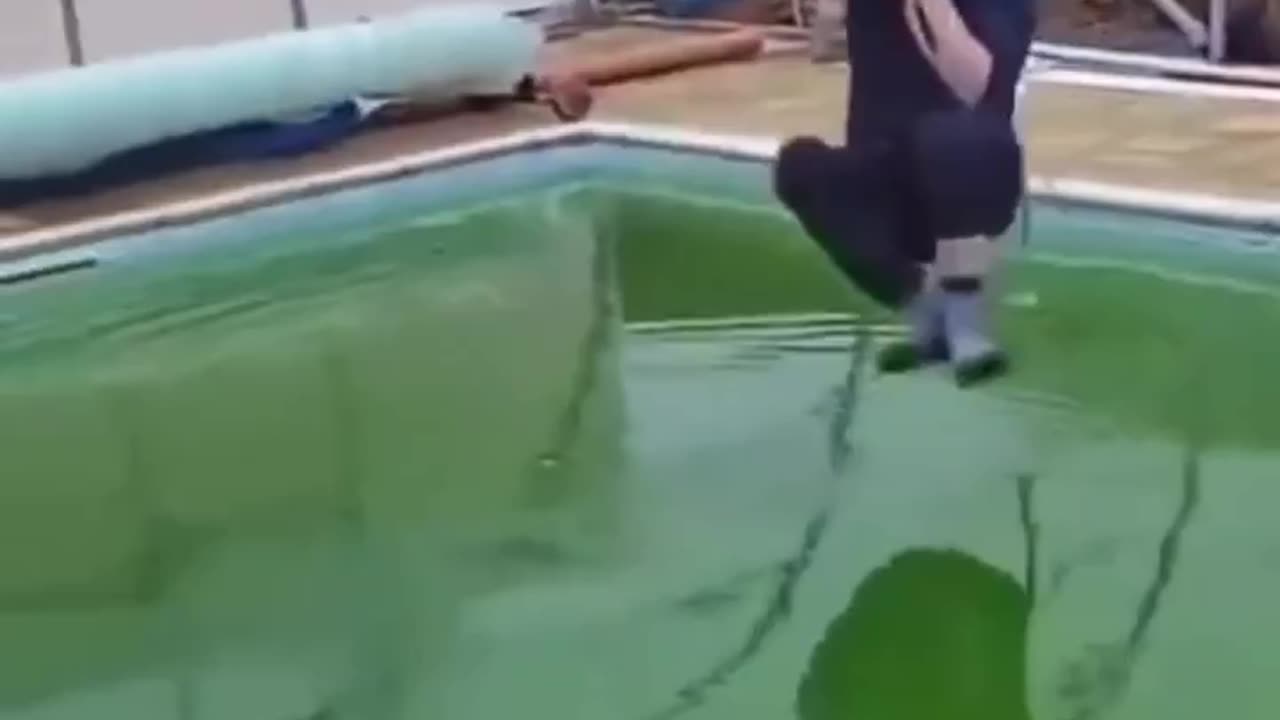 Needs Some Assistance