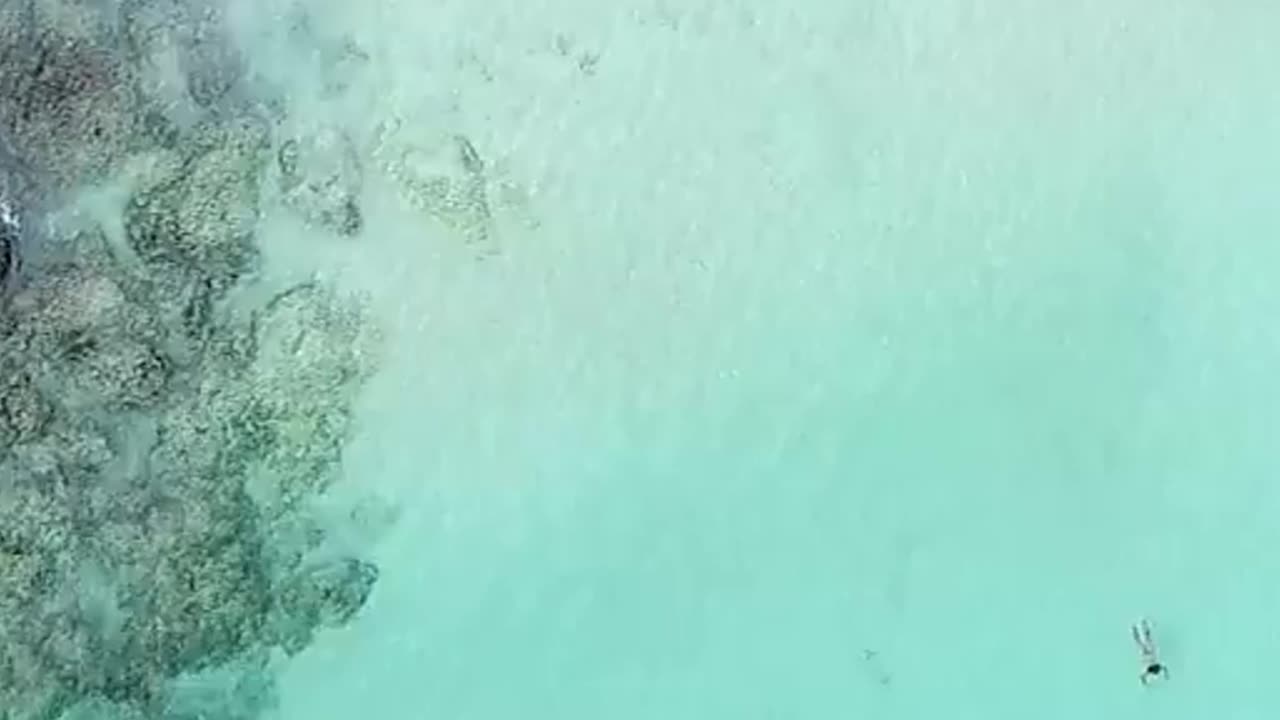 The future belongs to those who believe in the beauty of their dreams #energy #echoquotes #viral