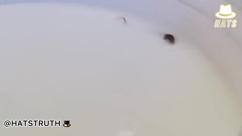 This is very concerning