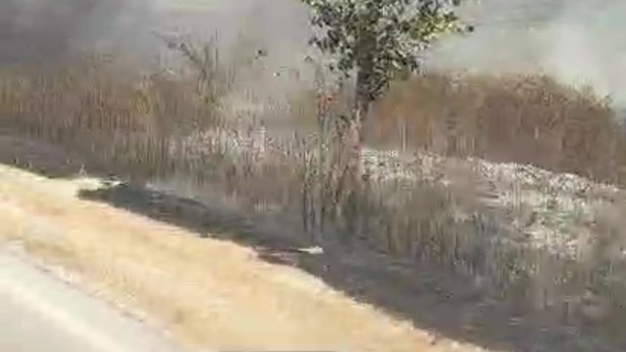 Zjarr në fshatin Rroms pranë autostradës Levan-Tepelenë