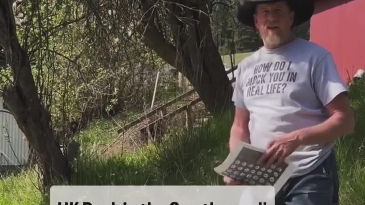 Is anybody else having issues with their trees?