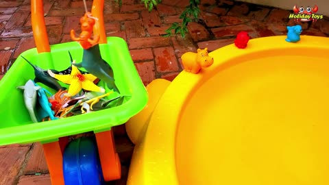 Yellow Turtle Went Into Yellow Bucket So it Couldn't be Seen