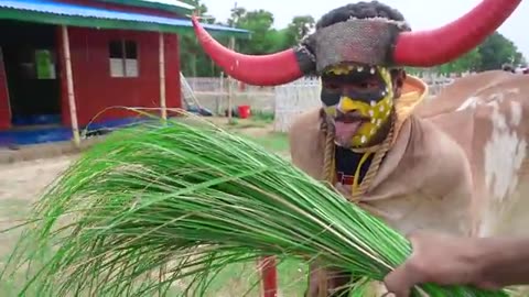 Funny video hai 😅😅