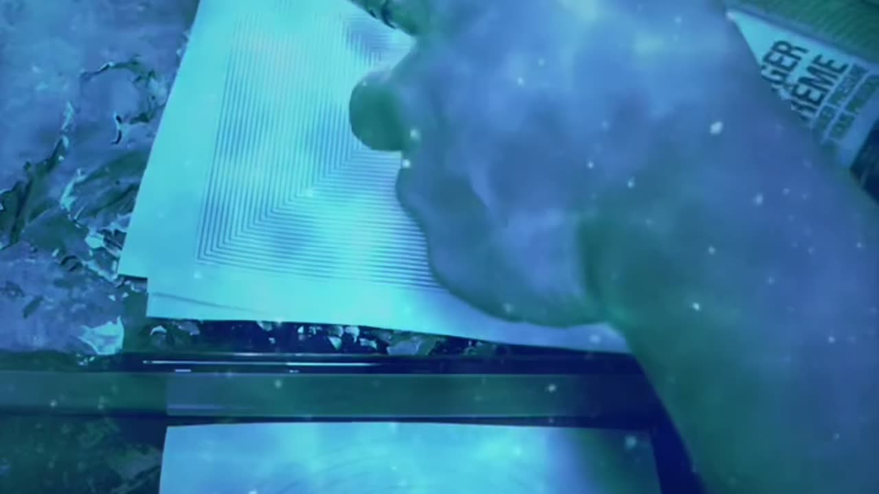 Tim Rifat TikTok Videos