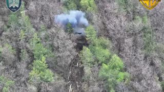 👀🐝 FPV drones drove a tank into the forest and destroyed it! "WORMBUSTERS"