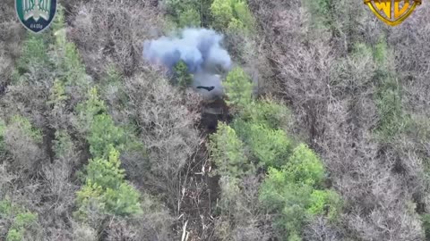 👀🐝 FPV drones drove a tank into the forest and destroyed it! "WORMBUSTERS"