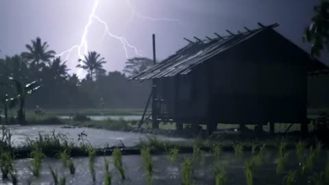 Thunderstorm Ambience for Sleeping and Relaxing