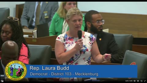 NC Rep Laura Budd (NC HD 103) Claims You Do NOT have a God Given RIght to Guns