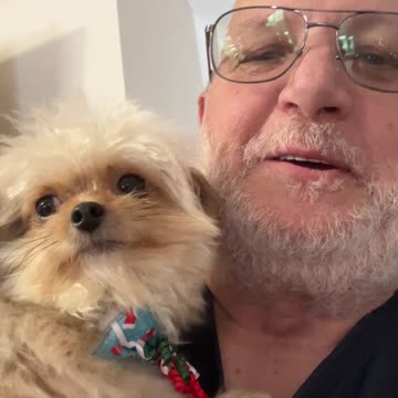 This Dog Is So Adorable!