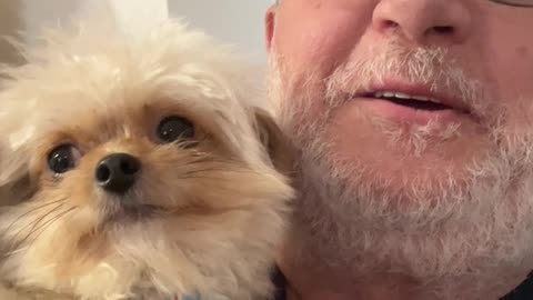 This Dog Is So Adorable!