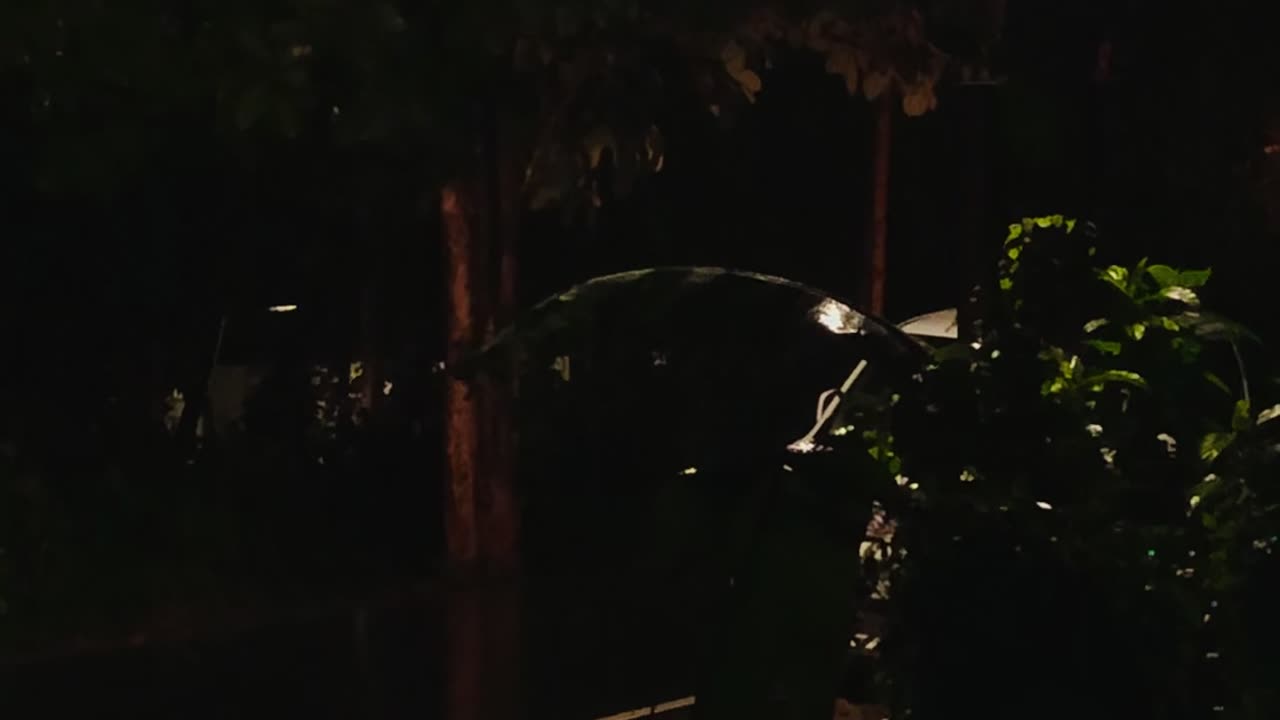 Aaa