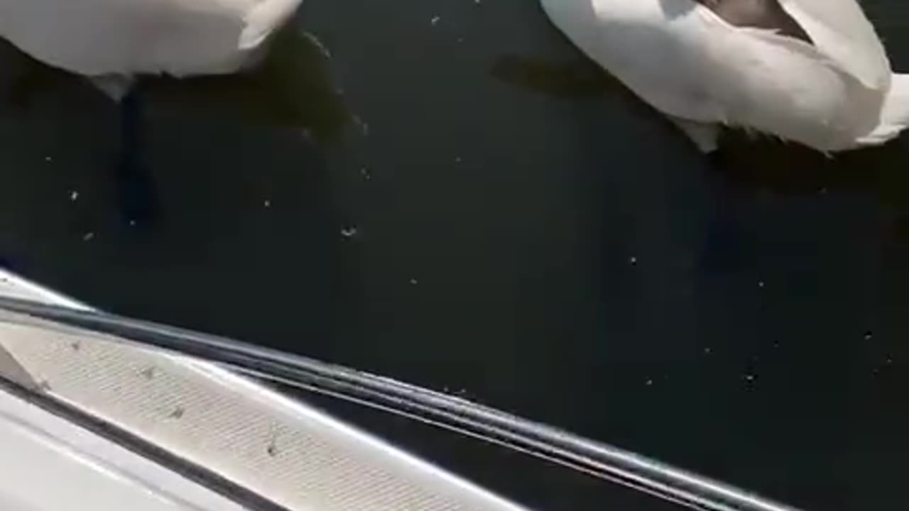 Transporting fragile cargo