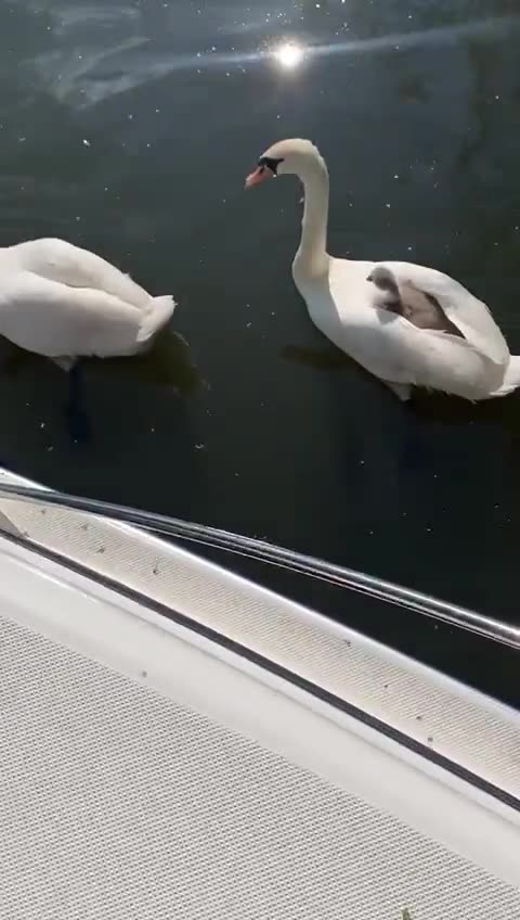 Transporting fragile cargo