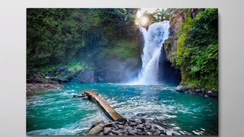 Nature canvas