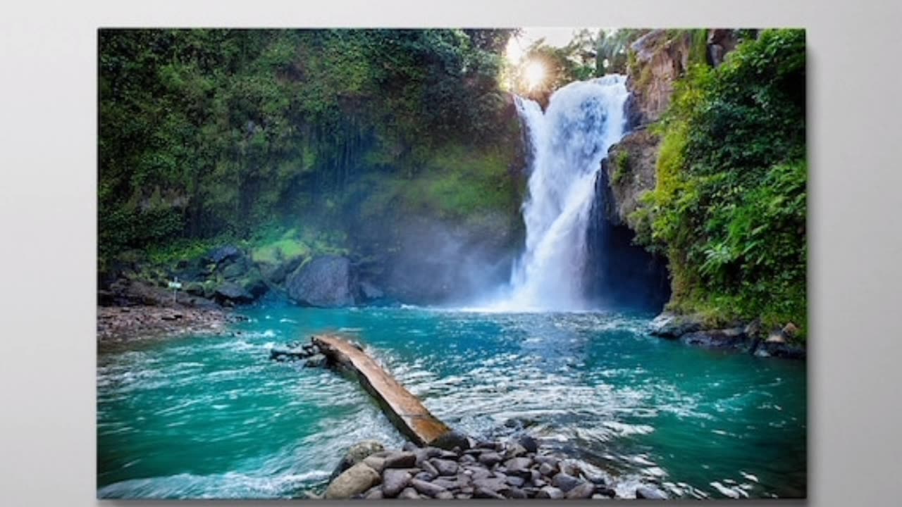 Nature canvas