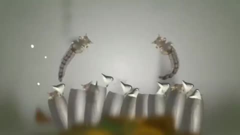 How a mosquito takes birth