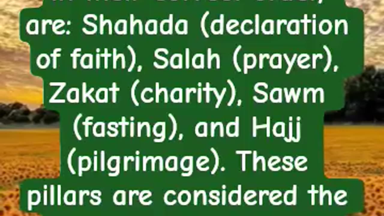 What are the five pillars of Islamic order?
