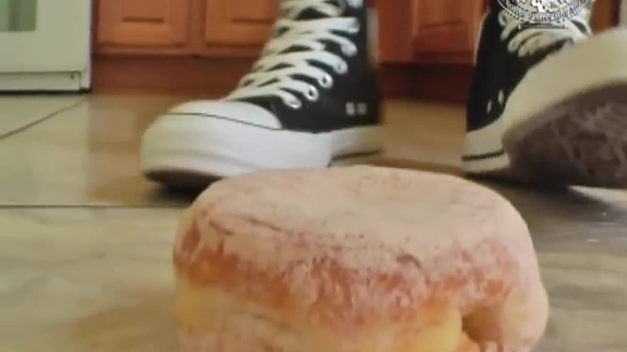 Converse Boots Doughnut Crush