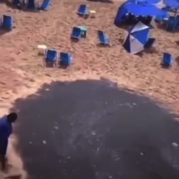 IDH alto made in bostil