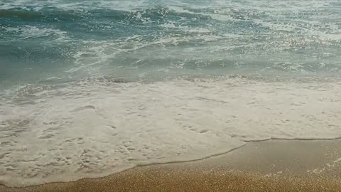 Always Tired? Fix Sleep in 5 Minutes