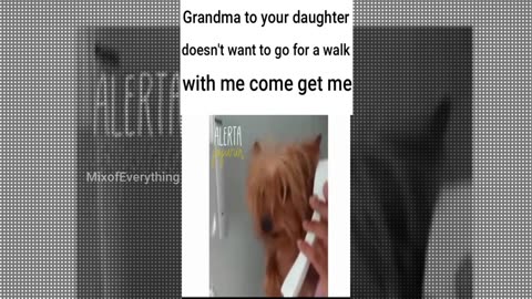 grandma come get me now